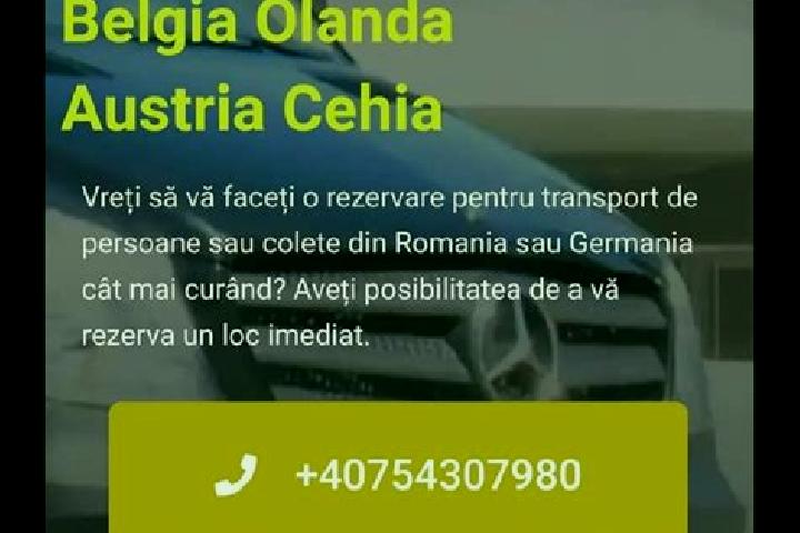 escort Strejestii de Sus