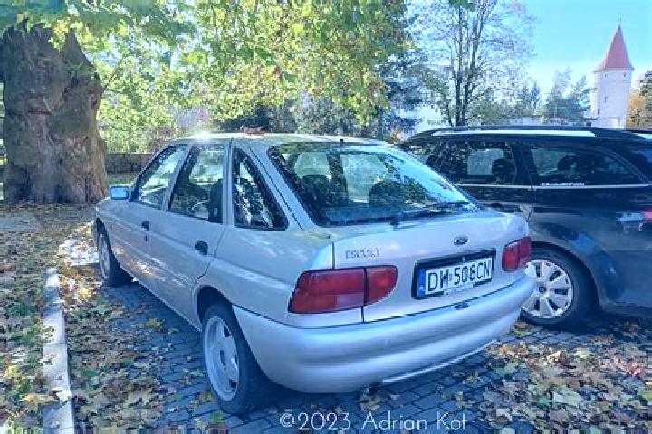 escort Stubbekobing