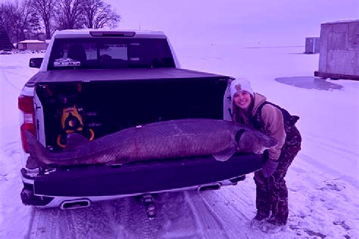 escort Sturgeon Bay