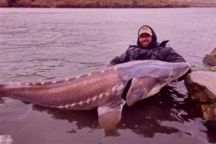 escort Sturgeon