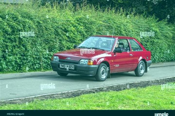escort Succha