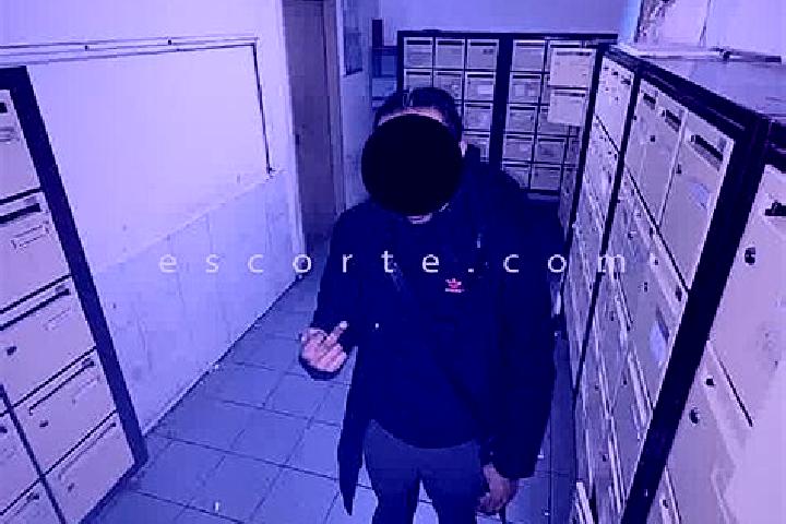 escort Sucre
