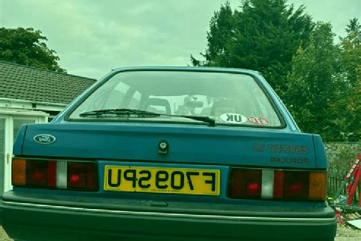 escort Suffolk Park