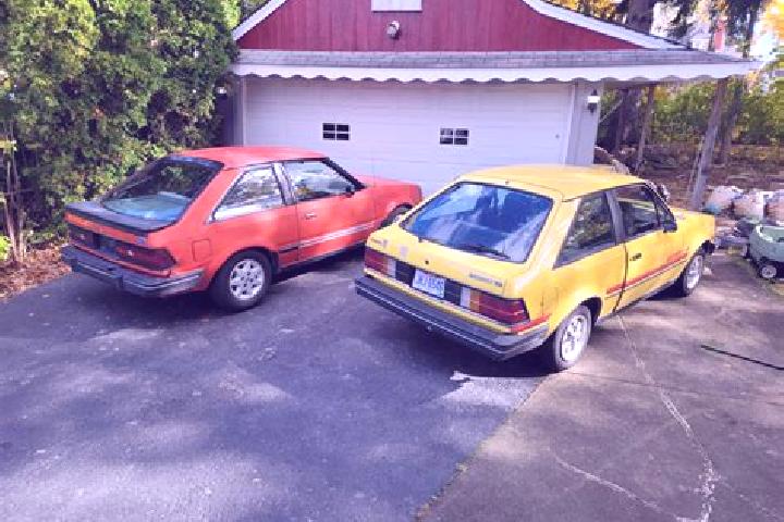 escort Sulikow
