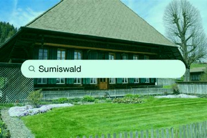 escort Sumiswald