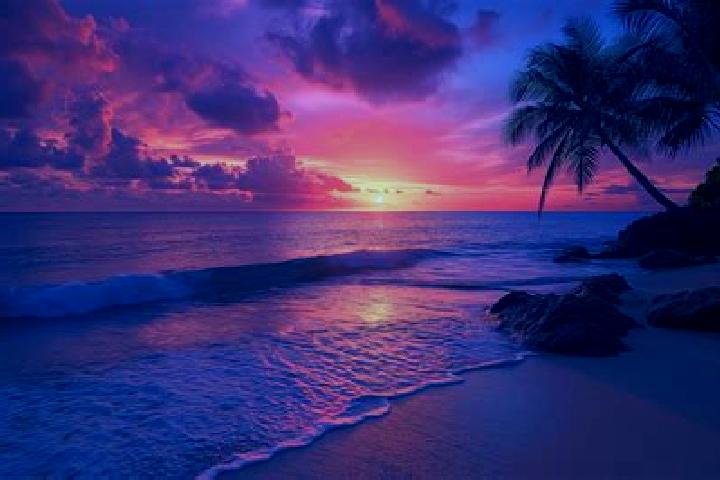 escort Sunset Beach