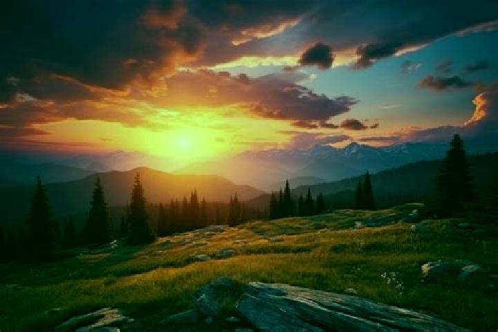 escort Sunset Valley