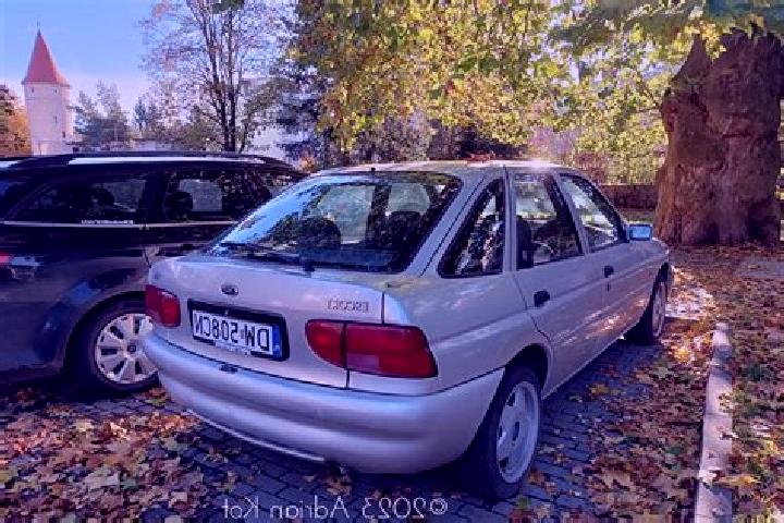 escort Susuz