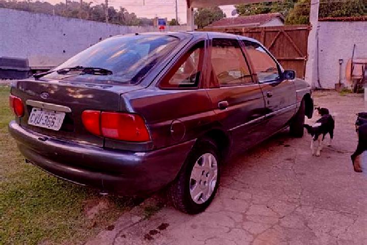 escort Suzano