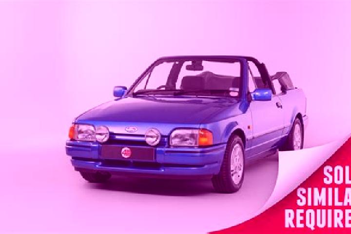 escort Svetlaya