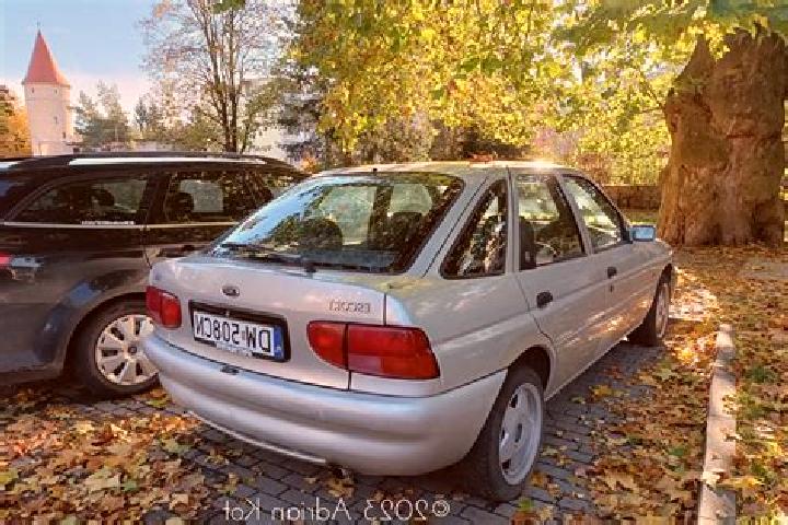escort Syvik