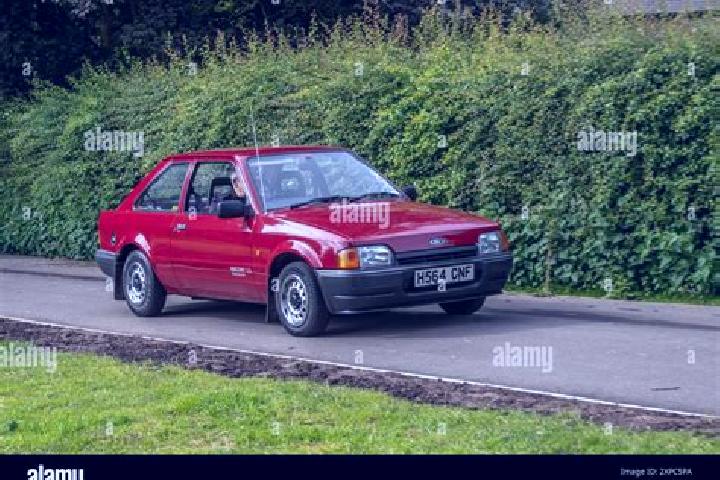 escort Szakcs