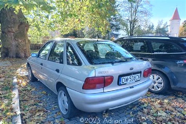 escort Szczytna