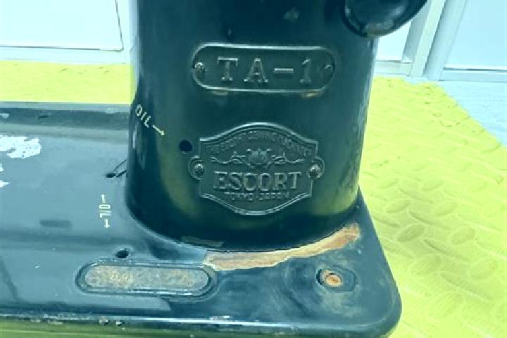 escort Ta