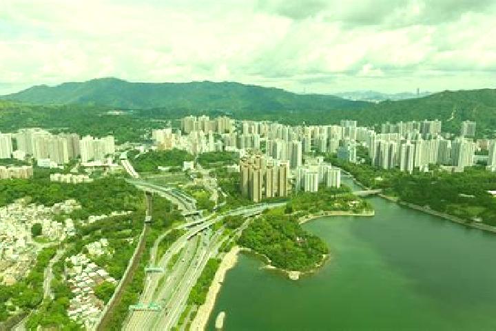 escort Tai Wo