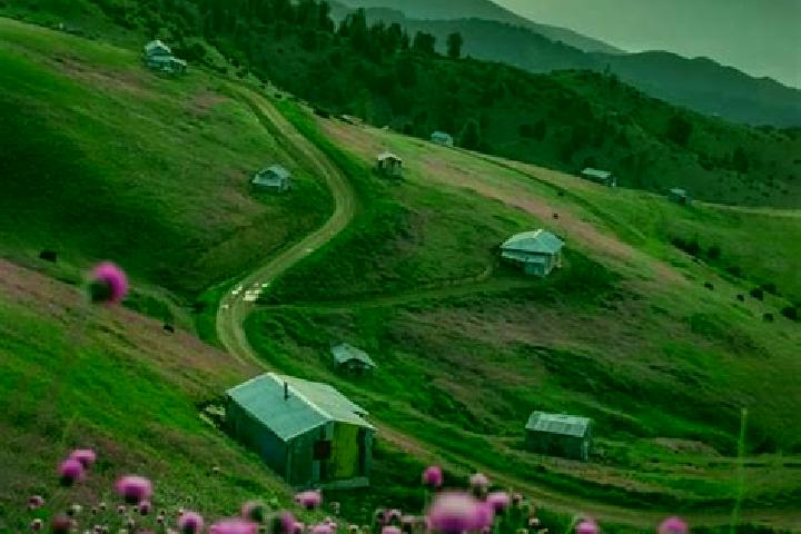 escort Talesh Mahalleh