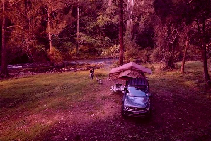 escort Tallebudgera Valley