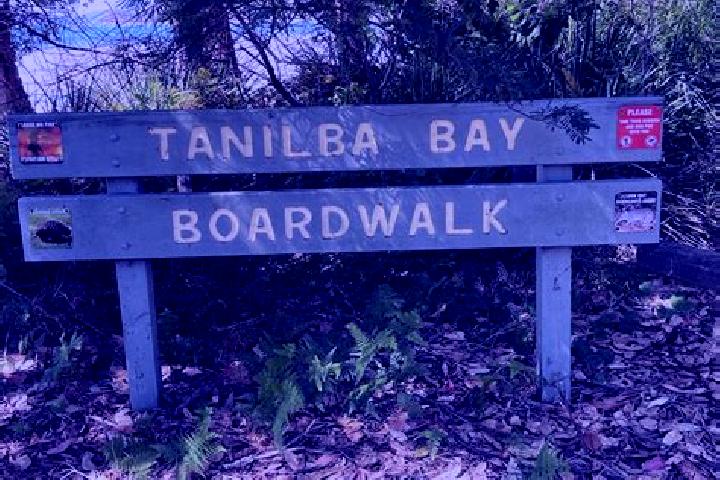 escort Tanilba Bay