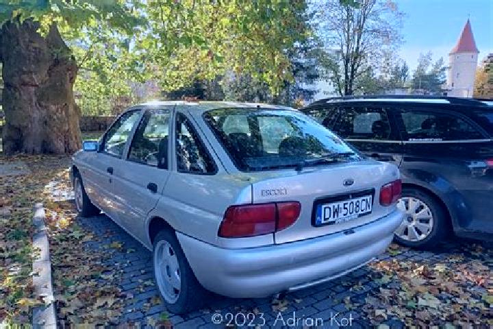 escort Targu Bujor