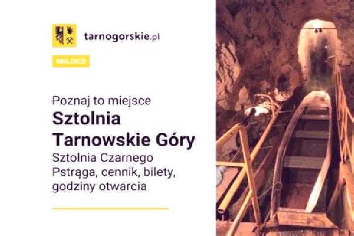 escort Tarnowskie Gory