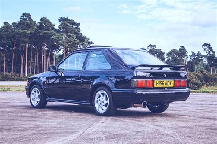 escort Tarub