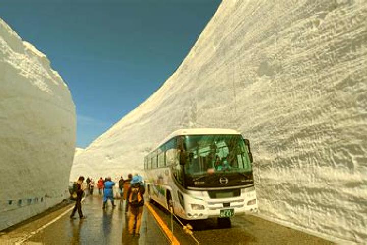 escort Tateyama