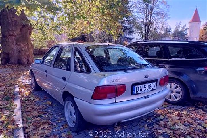 escort Tavaux