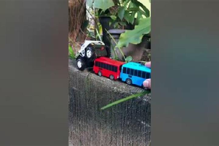 escort Tayo