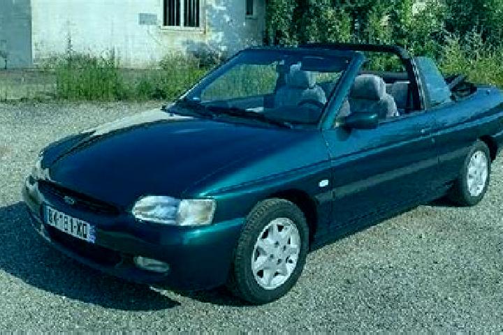 escort Te Poi