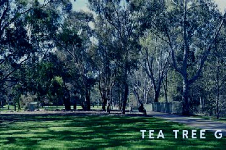escort Tea Tree Gully