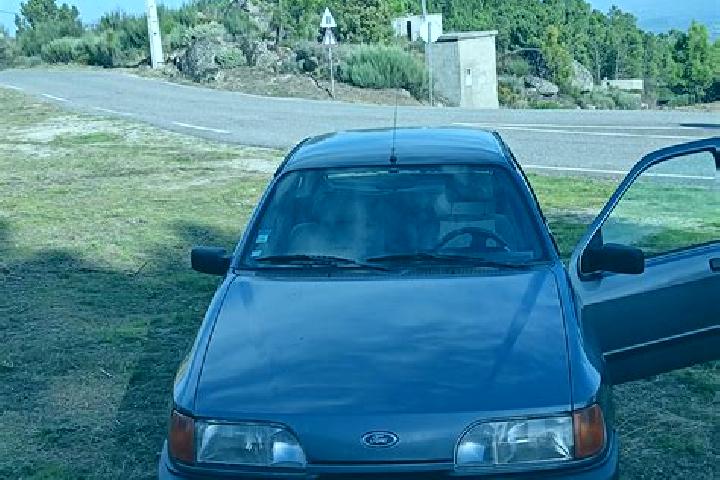 escort Teixoso