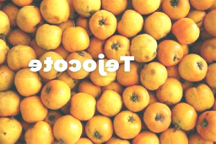 escort Tejocote de Calera