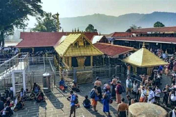 escort Temple View