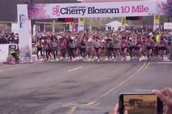 escort Ten Mile Run
