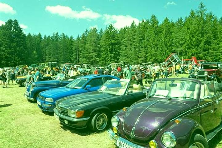 escort Tennenbronn