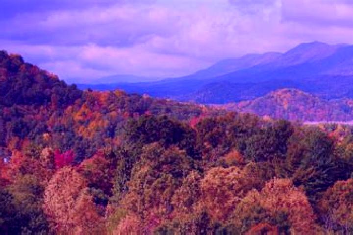 escort Tennessee Ridge