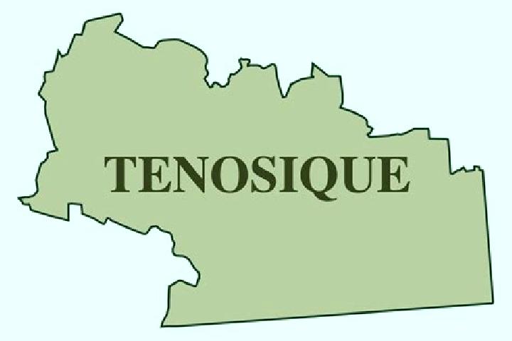 escort Tenosique