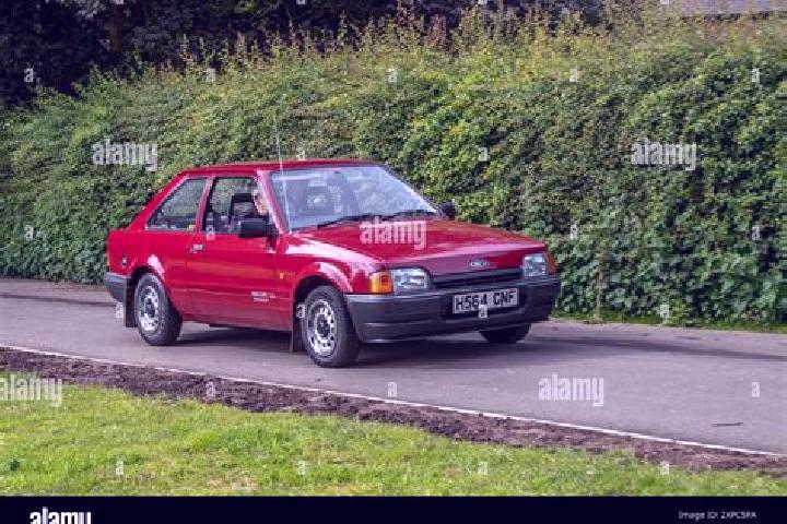 escort Tepekoey
