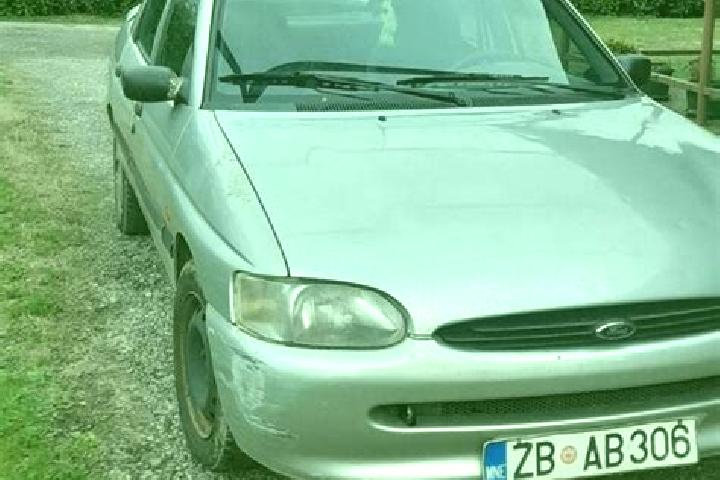 escort Teplaya Gora