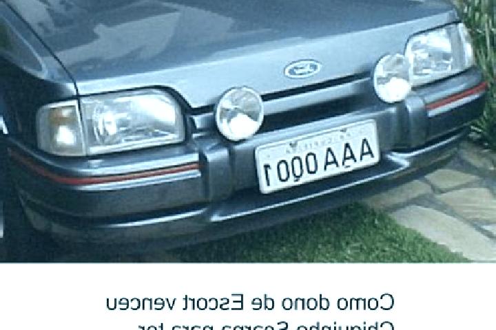 escort Ter Aar