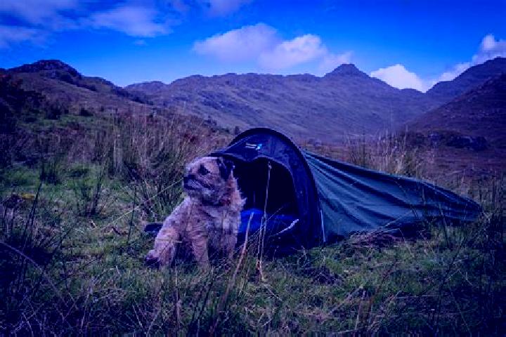 escort Terra Nova
