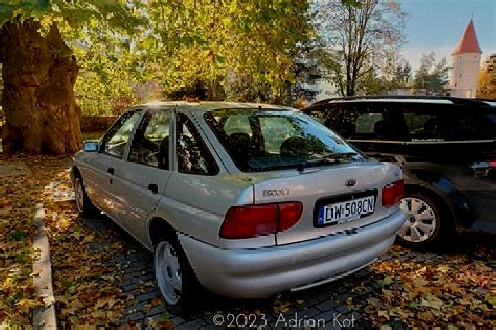 escort Tetcoiu