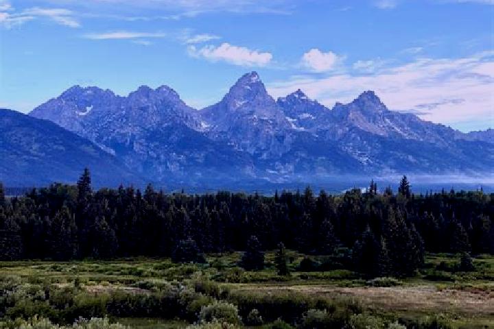 escort Teton
