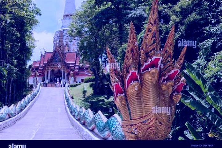 escort Thap Put