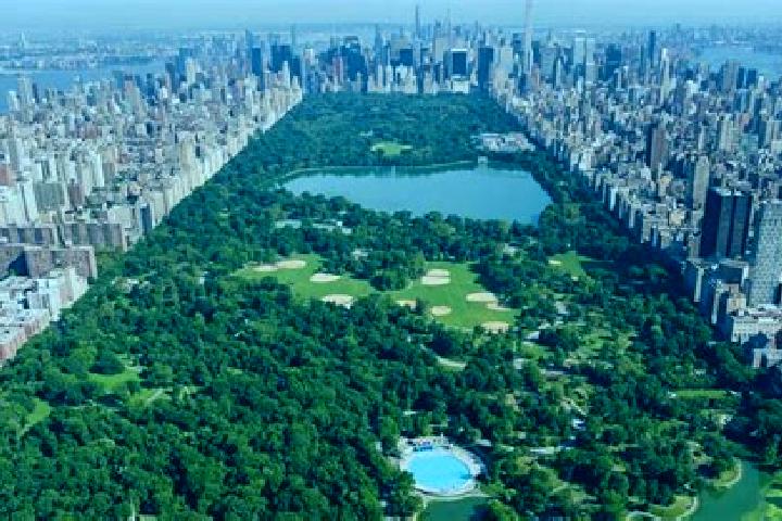 escort The Central Park