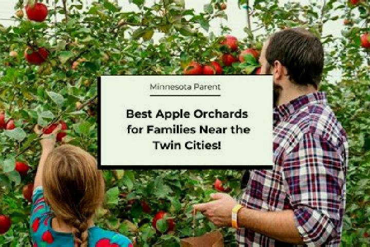 escort The Orchards