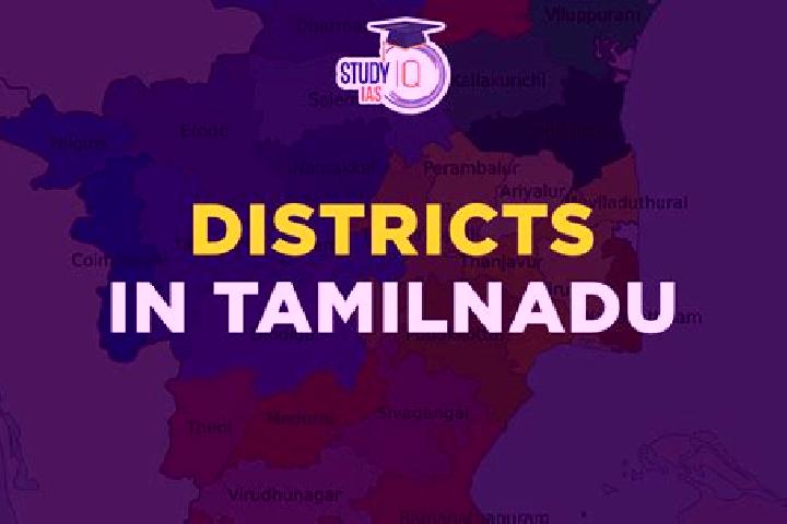 escort Thenkasi