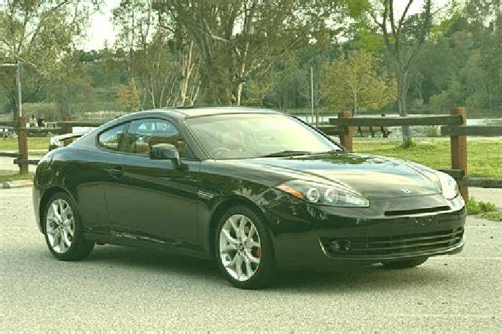 escort Tiburon
