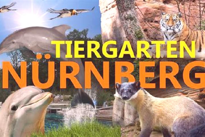escort Tiergarten