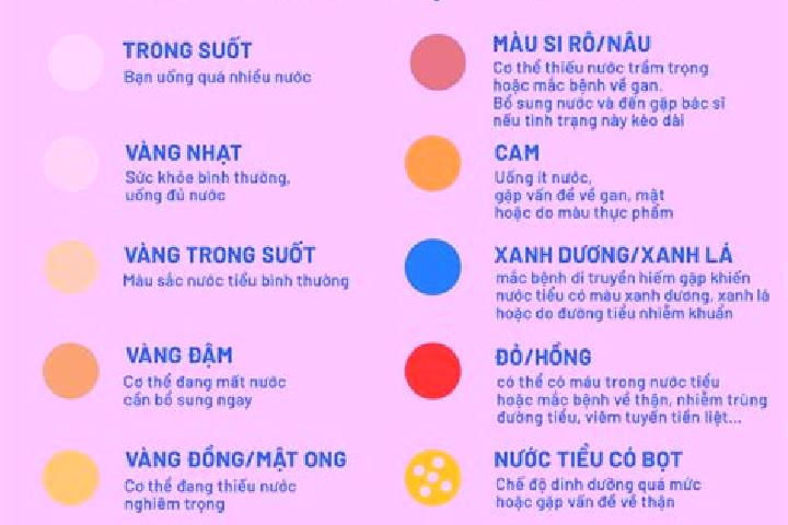 escort Tieu Can